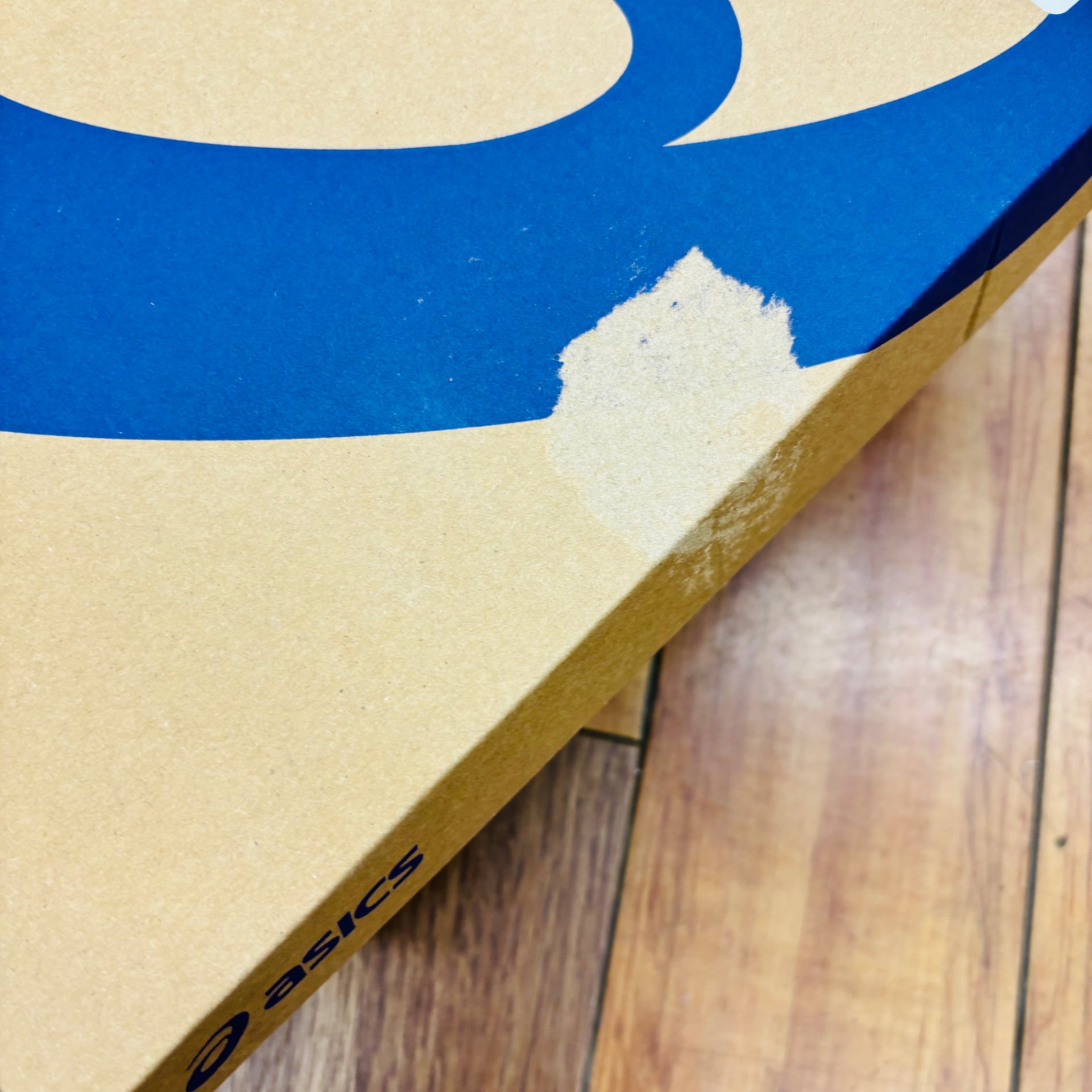アシックス(asics) 安全靴 作業靴 WINJOB CP221 シューレース メッシュ ホワイト/マコブルー 22.0cm 3E 【蓮田店】